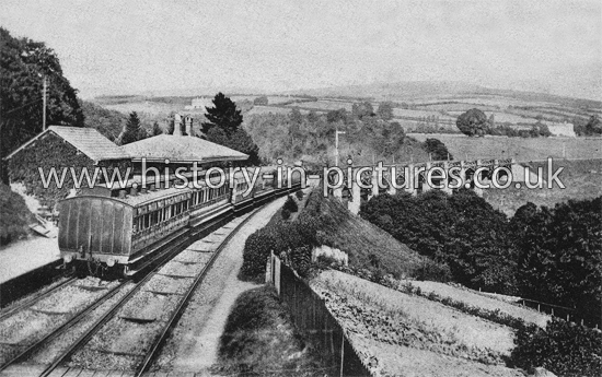 Station and Viaduct, Ivy Bridge, Devon. c.1905.